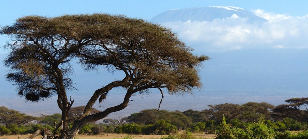 La tua Africa: la magia del Kenya